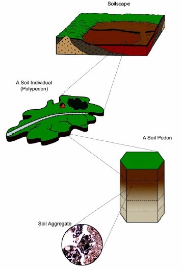 soilhome